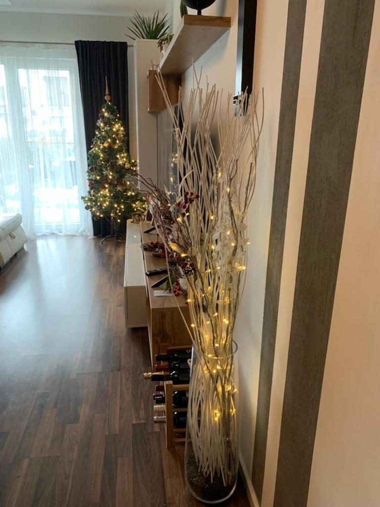 Krejcarek Garden Appartement Praag